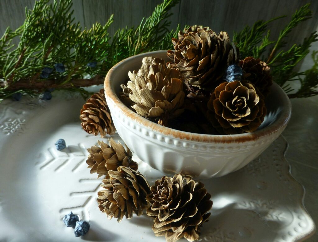 A white bowl filled with pine cones on top of a table
