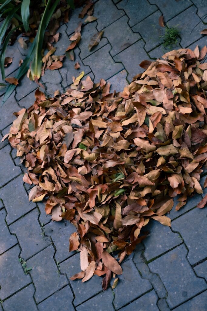 a heart shaped pile of leaves on the ground