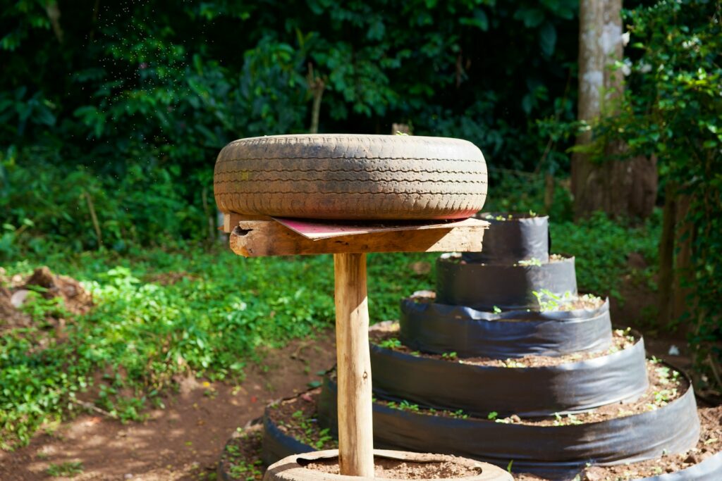 An upcycled tire planter sits outdoors.