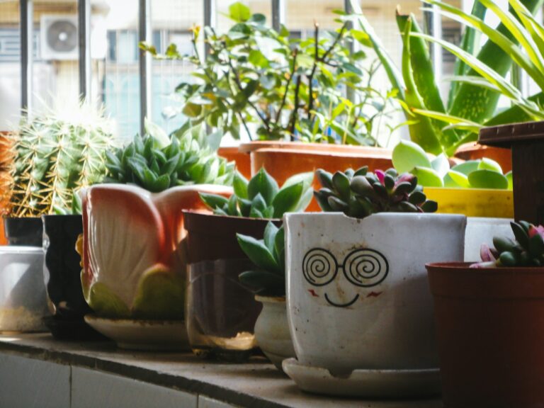 green and red ceramic mugs
