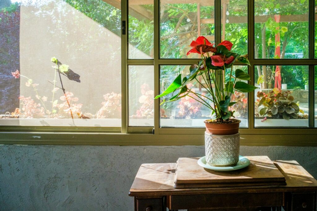 a potted plant sitting on a table in front of a window
