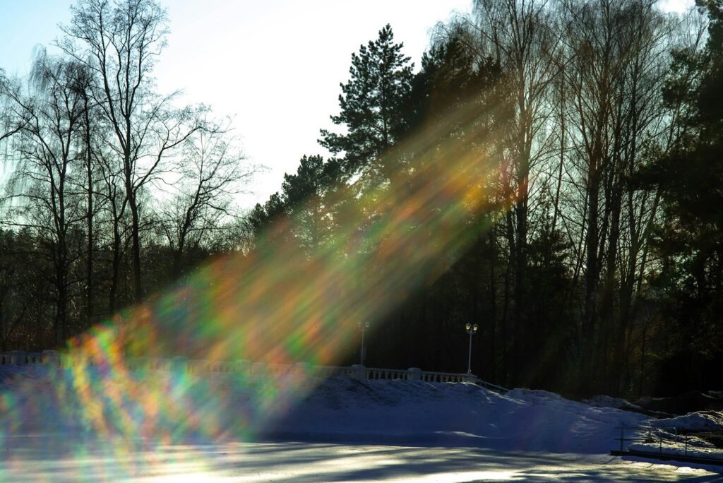 the sun shines brightly through the trees in the snow