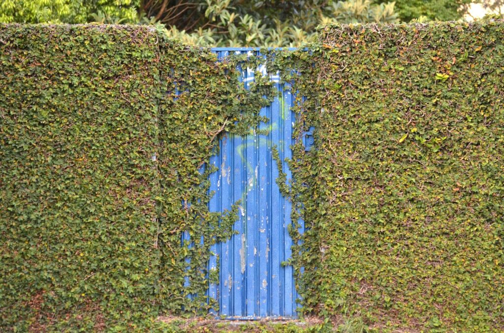 blue metal fence on green grass field