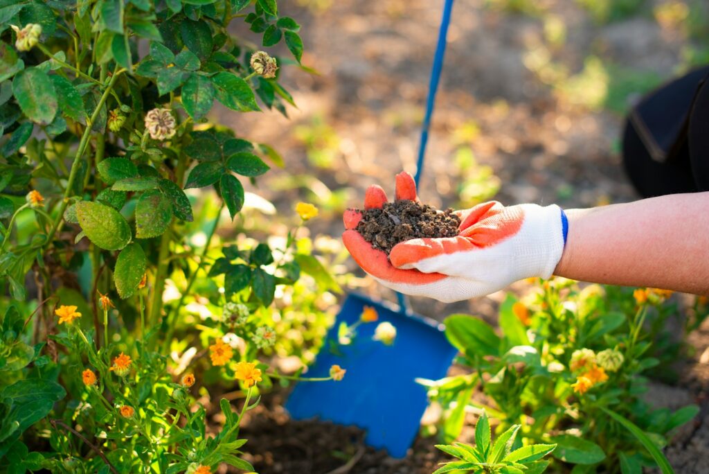 a person holding a handful of dirt in their hand