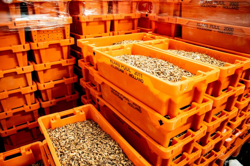 brown wooden crate with stones