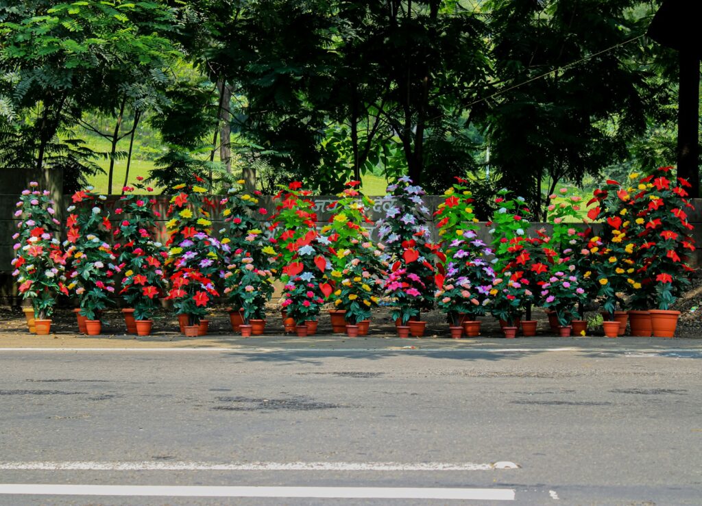 a row of potted plants