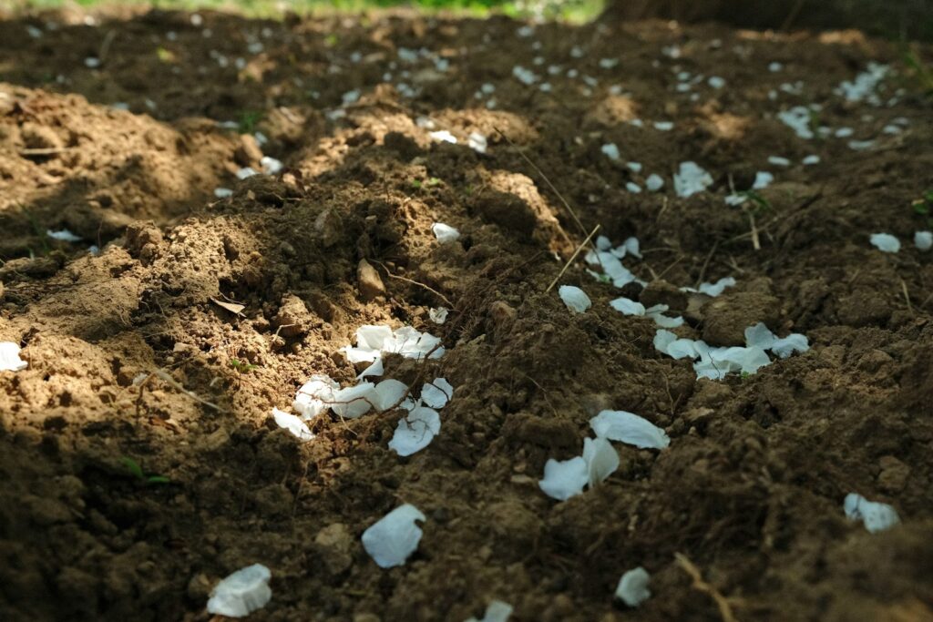 a pile of dirt with a bunch of white stuff on top of it