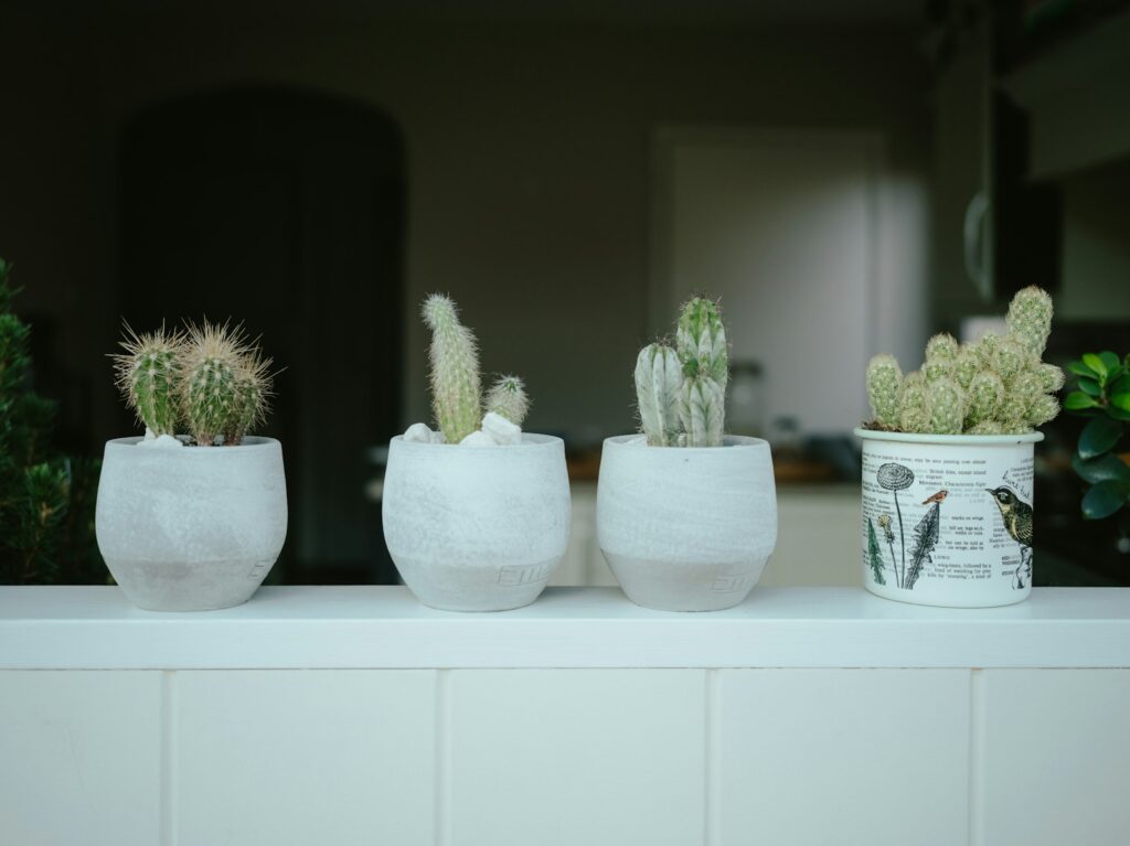 three potted plants sitting on top of a white shelf
