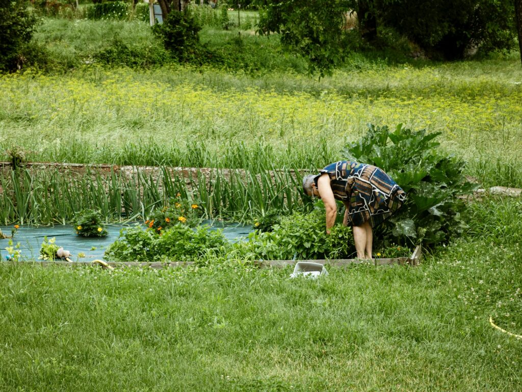 A woman tends her garden amidst greenery.
