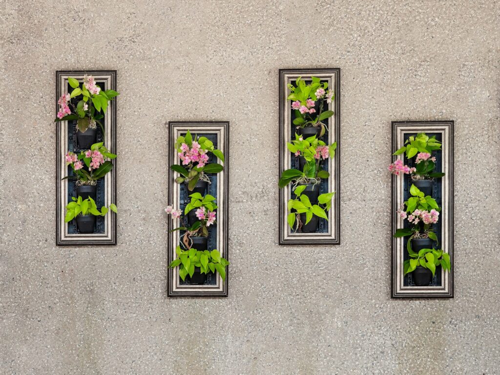 a group of three mirrors with plants in them