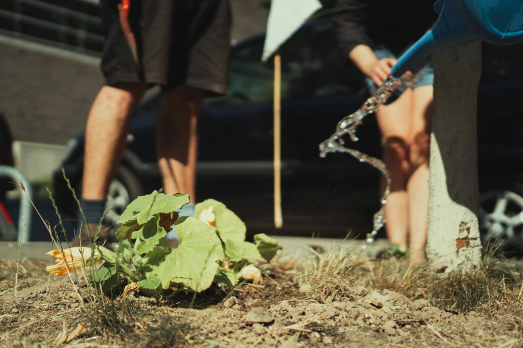 person in black shorts standing near green plant during daytime