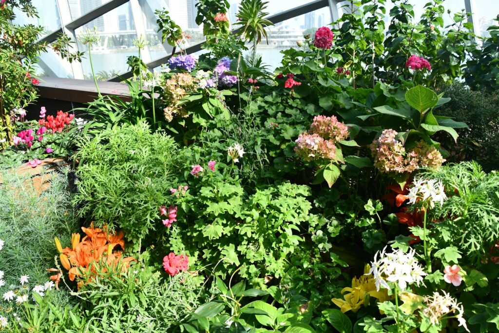 a garden filled with lots of different types of flowers