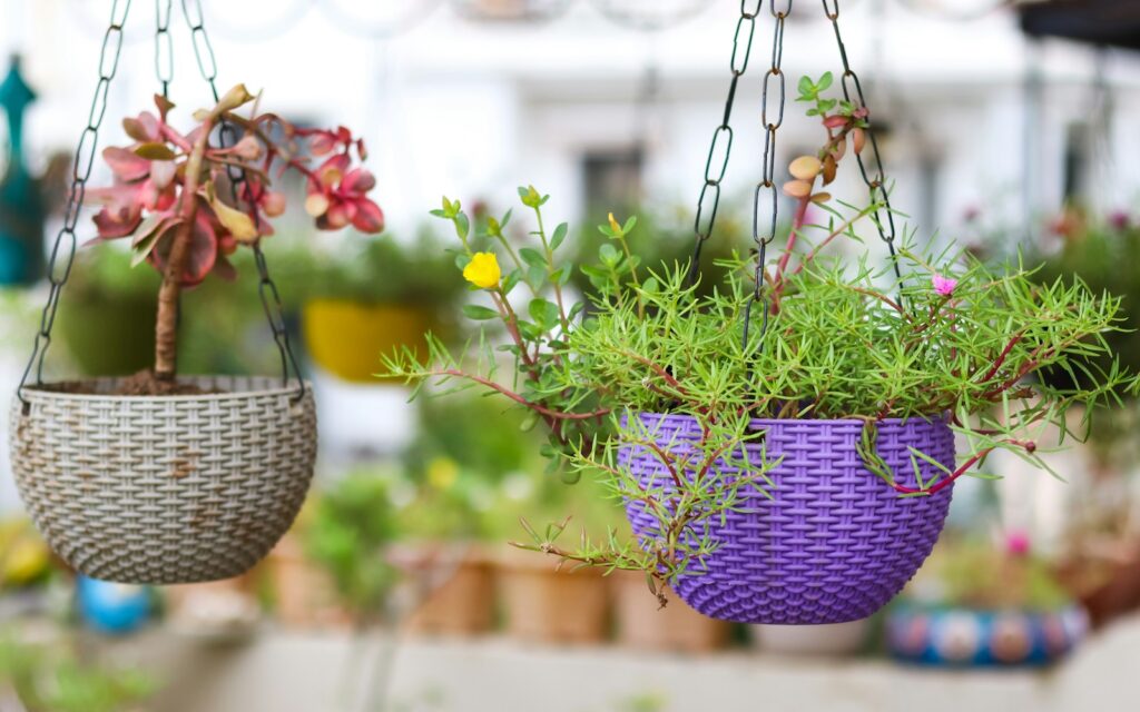 a couple of hanging baskets filled with plants