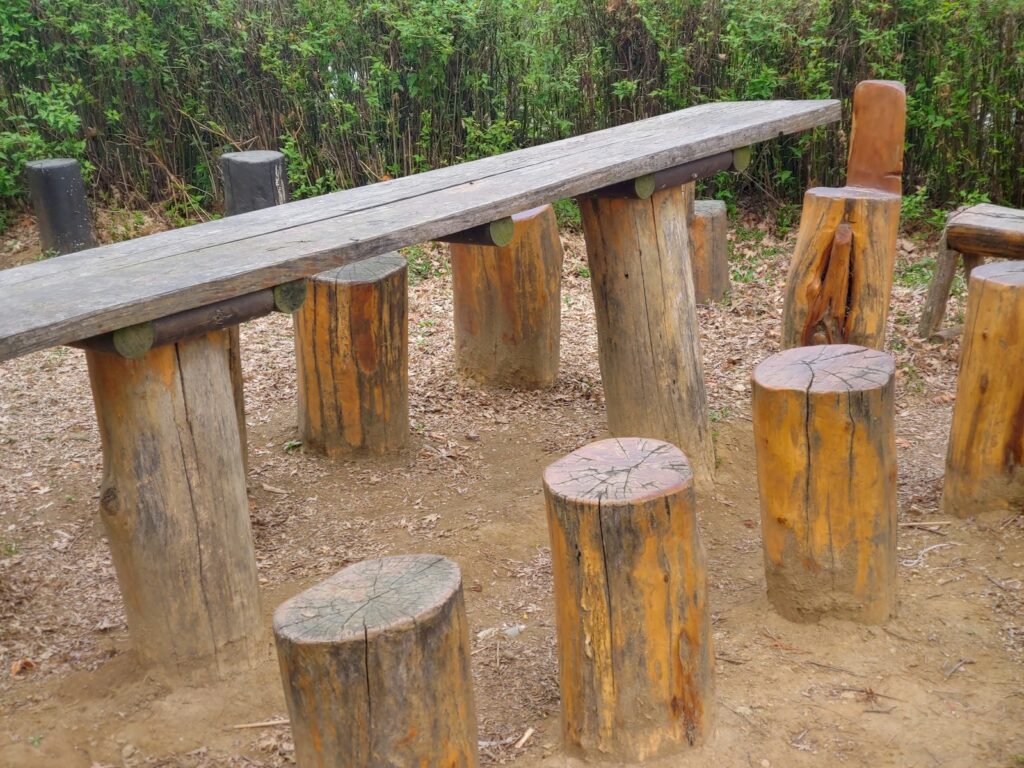 a wooden bench sitting next to a group of wooden stumps