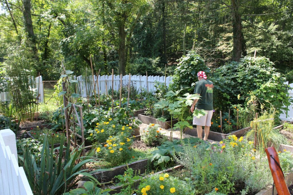 a man standing in a garden filled with lots of plants