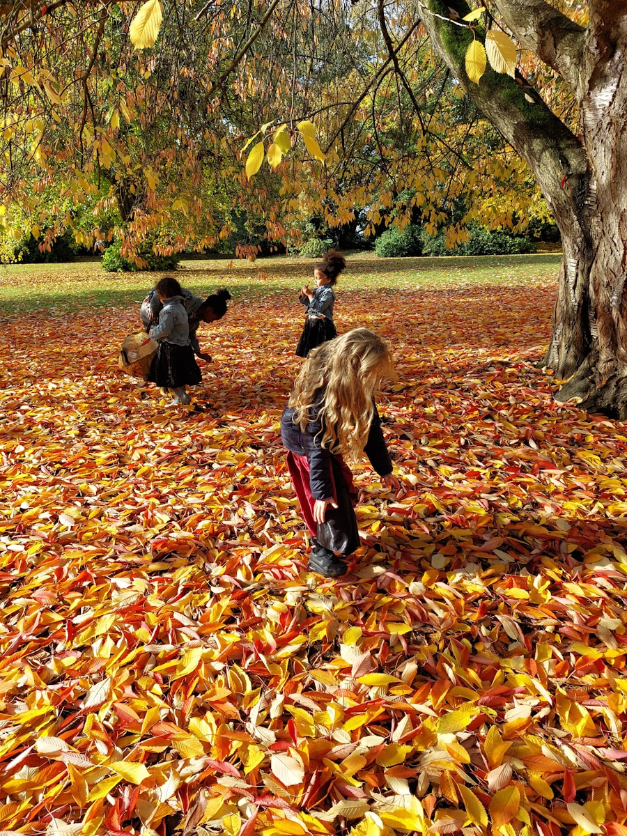 A group of children playing with leaves in a park