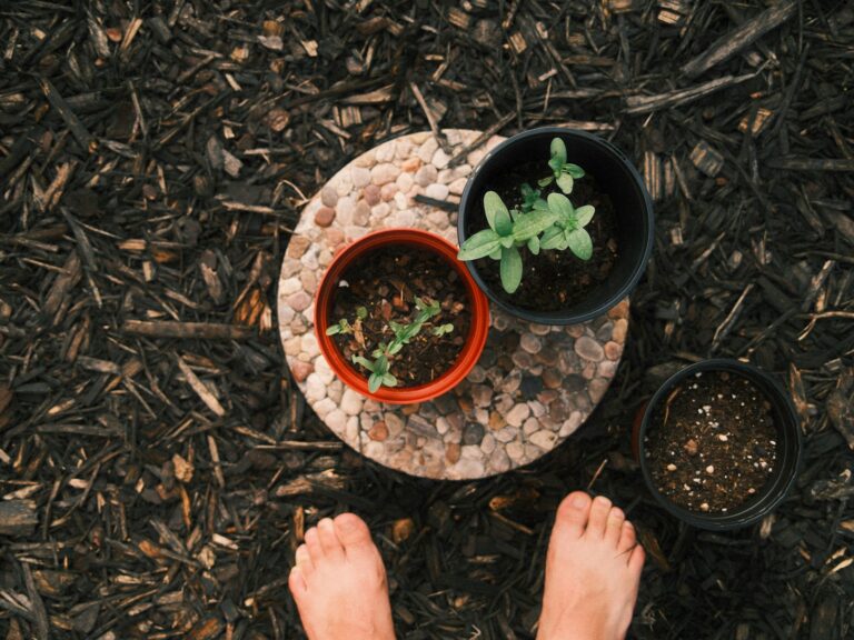 Potted plants sit on a wooden slab in the garden.