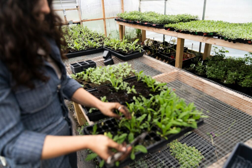 a woman working in a greenhouse