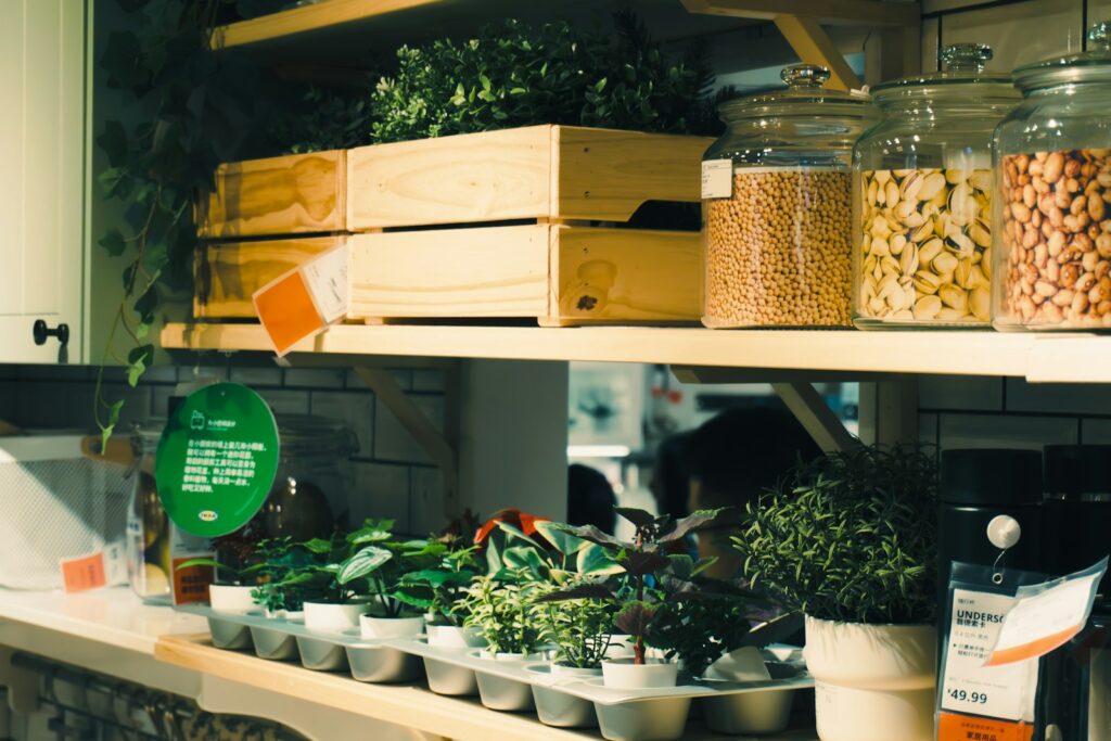 A bunch of plants that are on a shelf