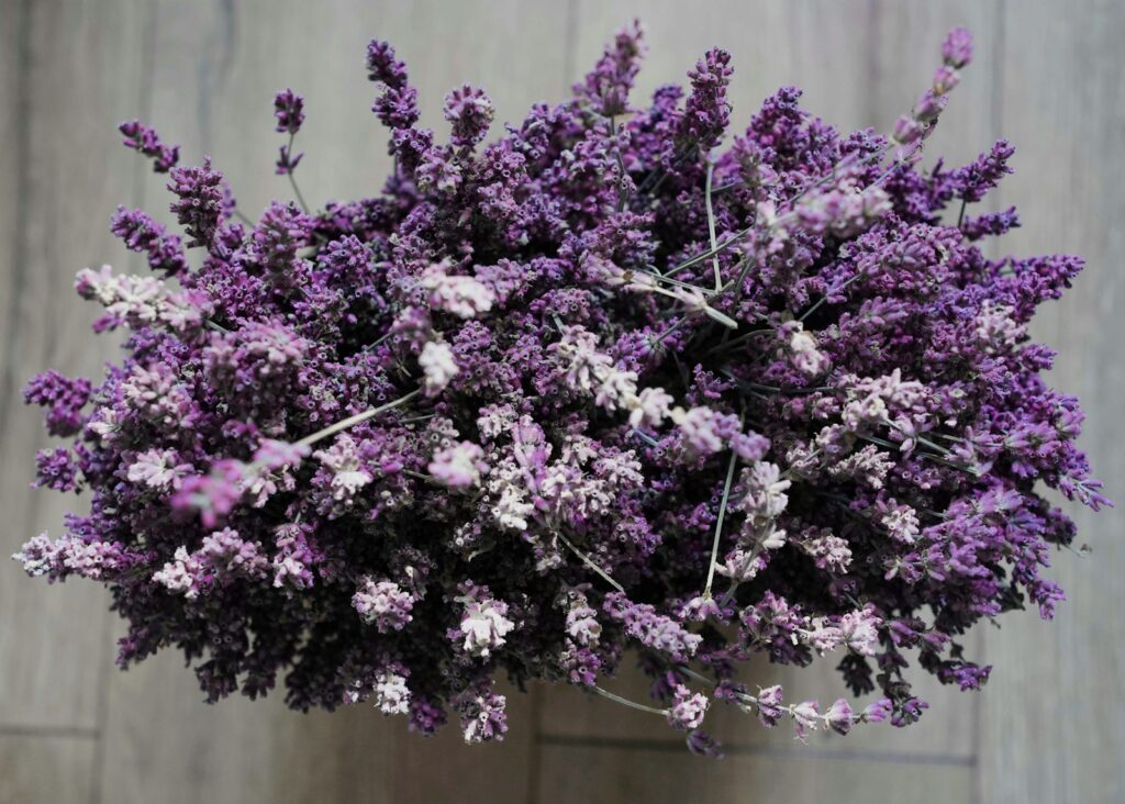 a bunch of purple flowers sitting on top of a wooden table