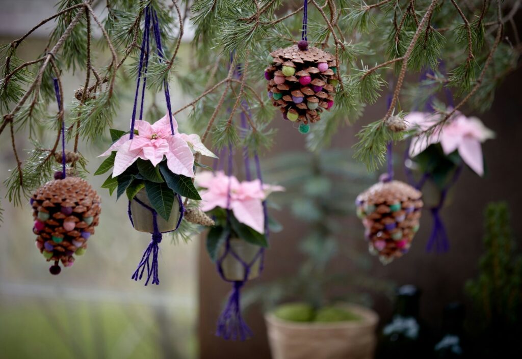A bunch of pine cones hanging from a tree