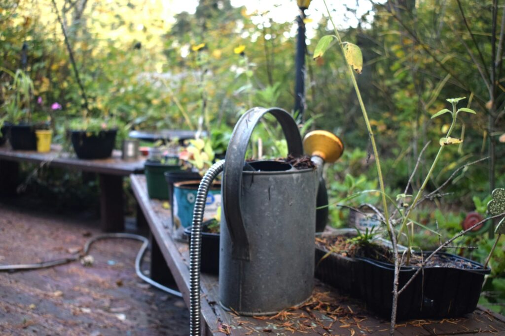 A metal bucket filled with plants on top of a wooden table
