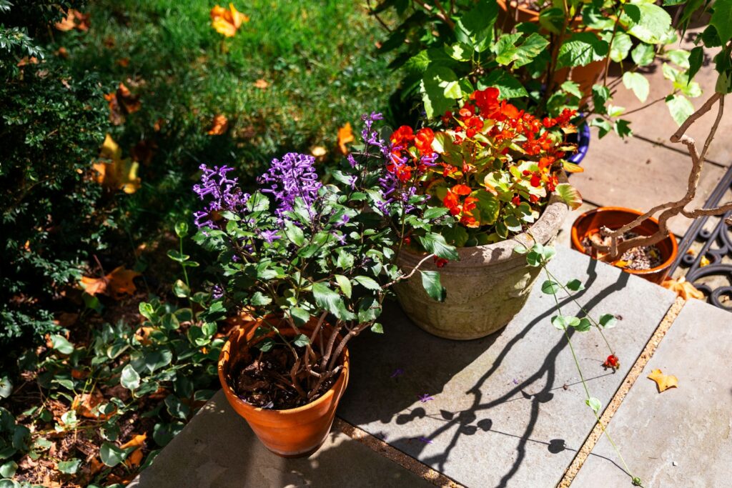 A couple of potted plants sitting on top of a cement slab