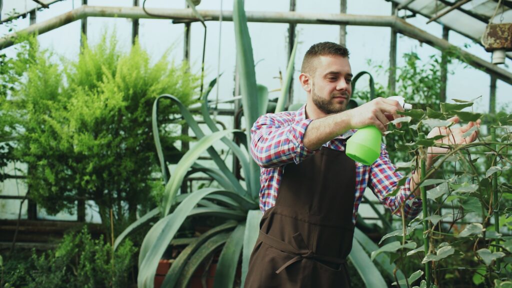 Man spraying plants in a greenhouse