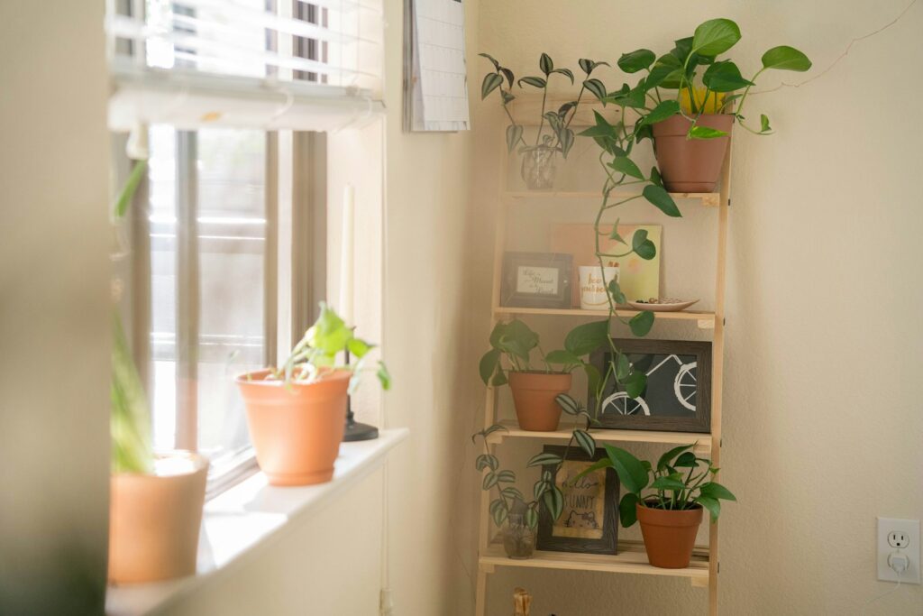 a shelf filled with potted plants next to a window