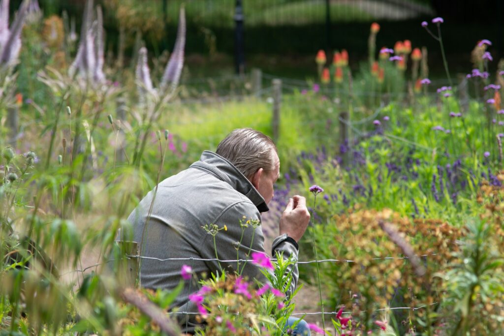 a man kneeling in a field of flowers