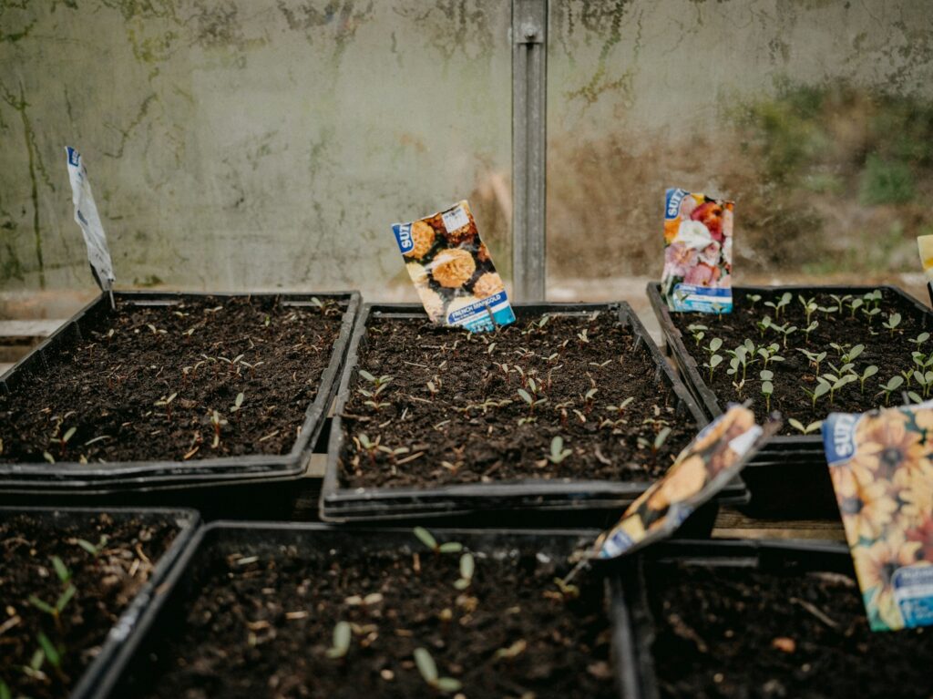 a group of seed packets sitting on top of a pile of dirt