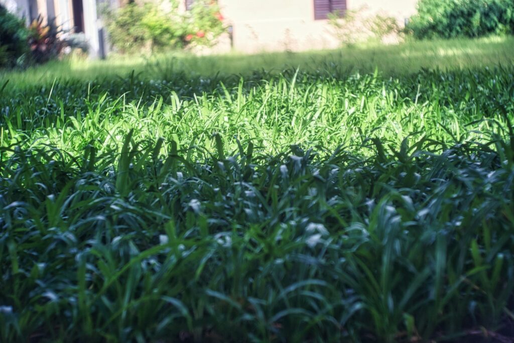 green grass field near brown concrete building during daytime