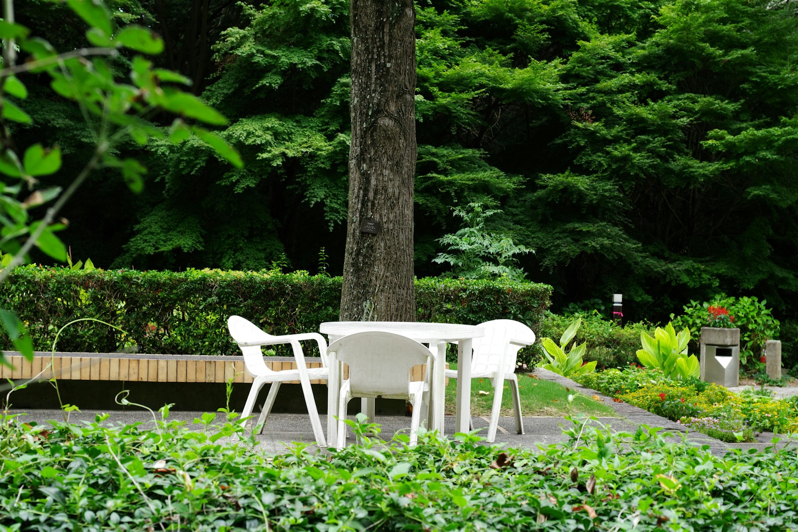 A couple of white chairs sitting on top of a lush green park
