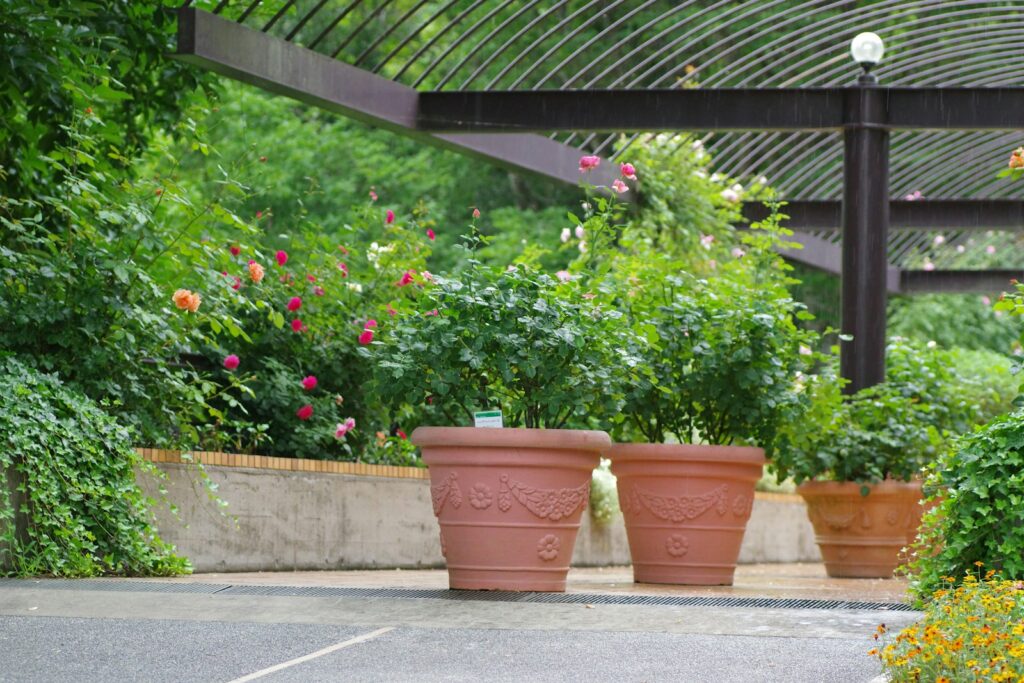 A bunch of potted plants in a garden