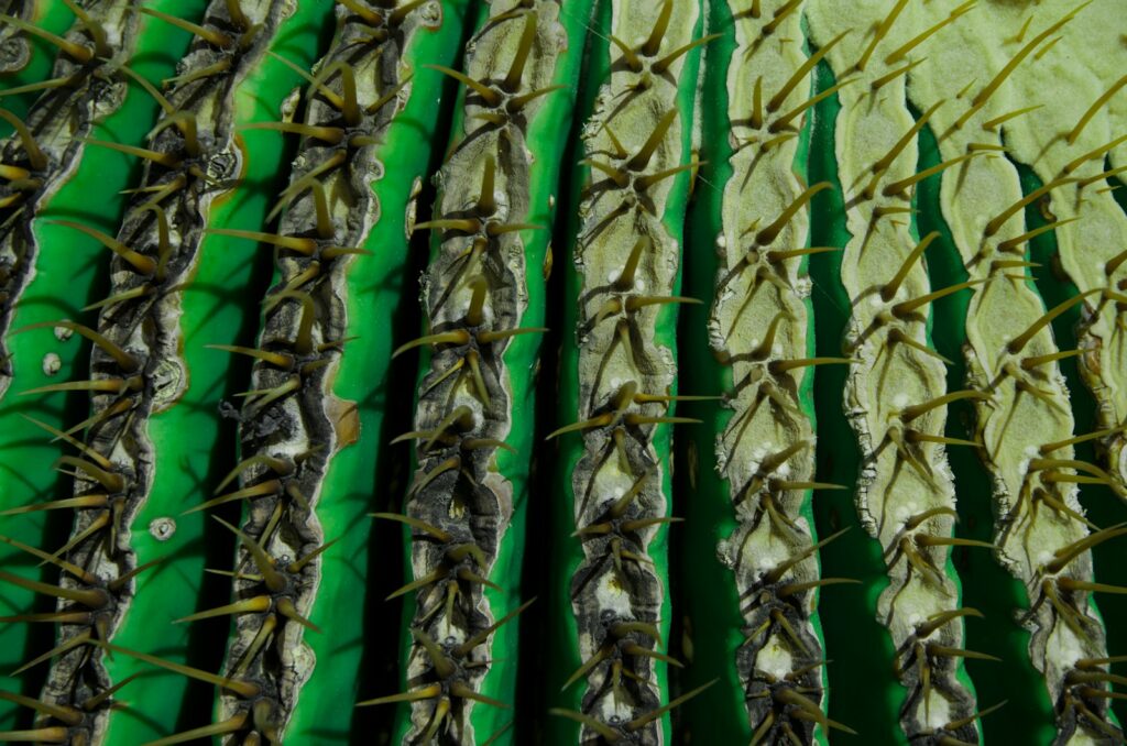 a close up of a bunch of green leaves