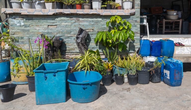 Various potted plants and blue containers outdoors