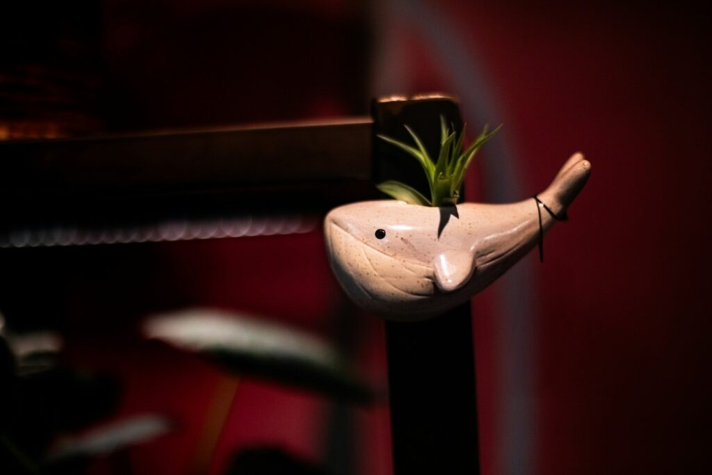 White whale planter with green plant on shelf.