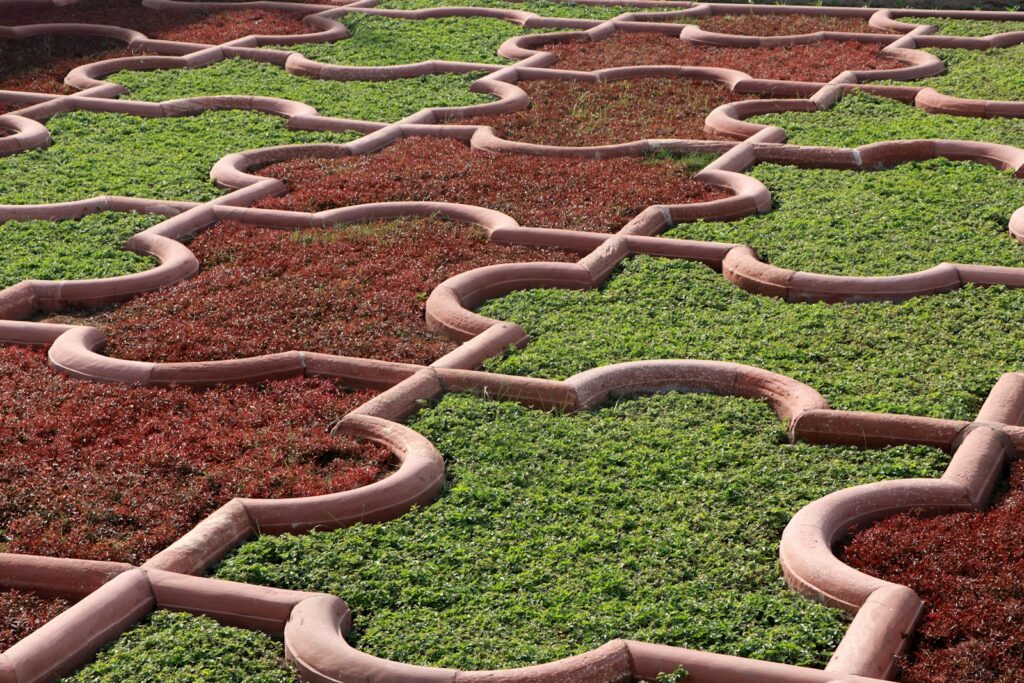 A garden with many different types of plants
