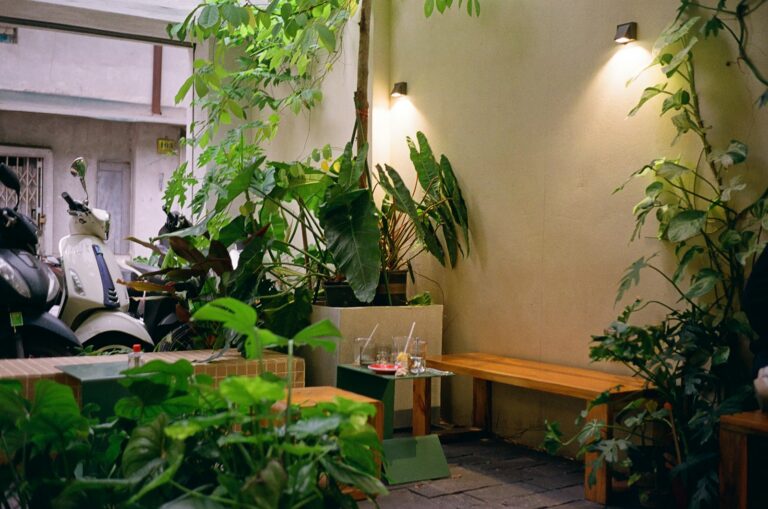 A room filled with lots of green plants