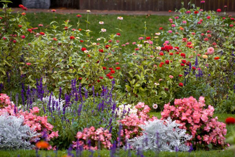 A garden filled with lots of colorful flowers