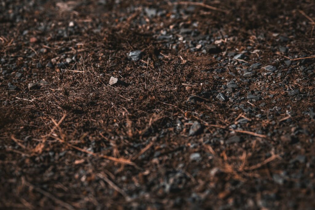a close up of a dirt field with small rocks