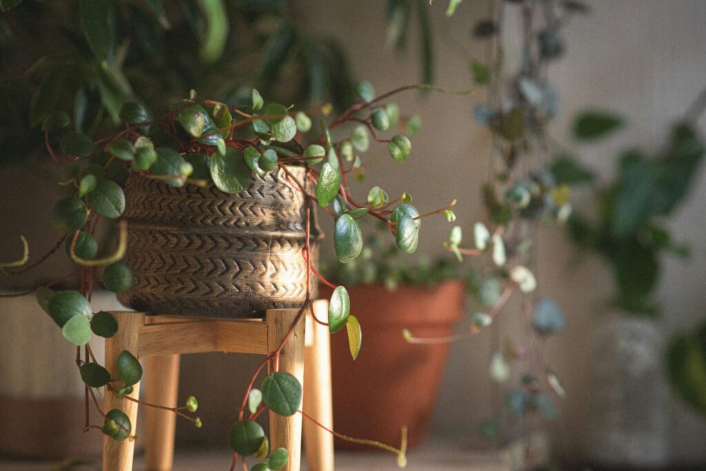 a birdhouse on a tree