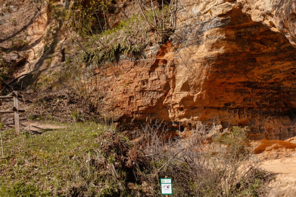 a wooden bench sitting on top of a lush green hillside