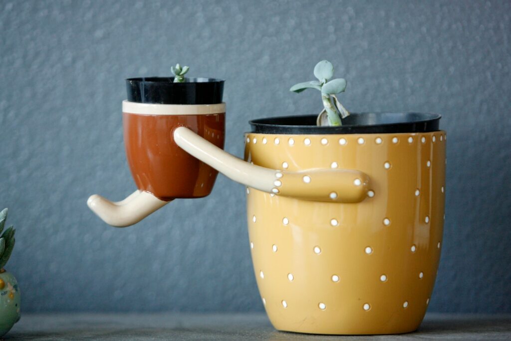 Two quirky planters are holding hands with plants.