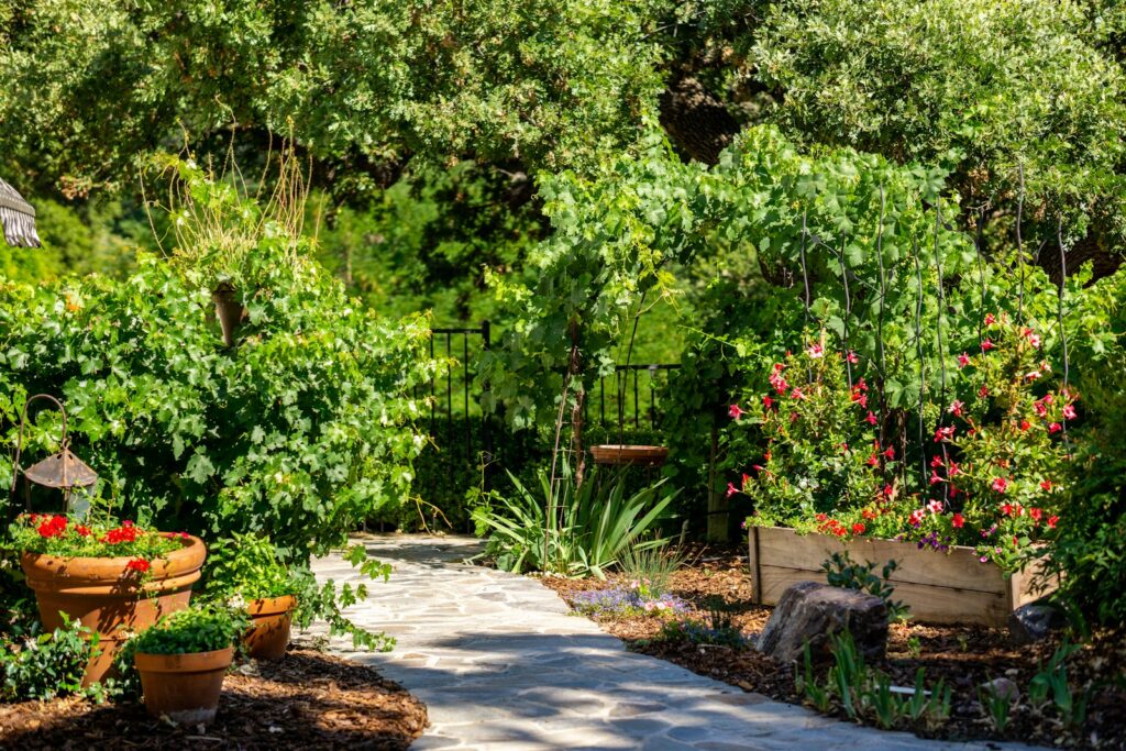 A garden filled with lots of different types of plants
