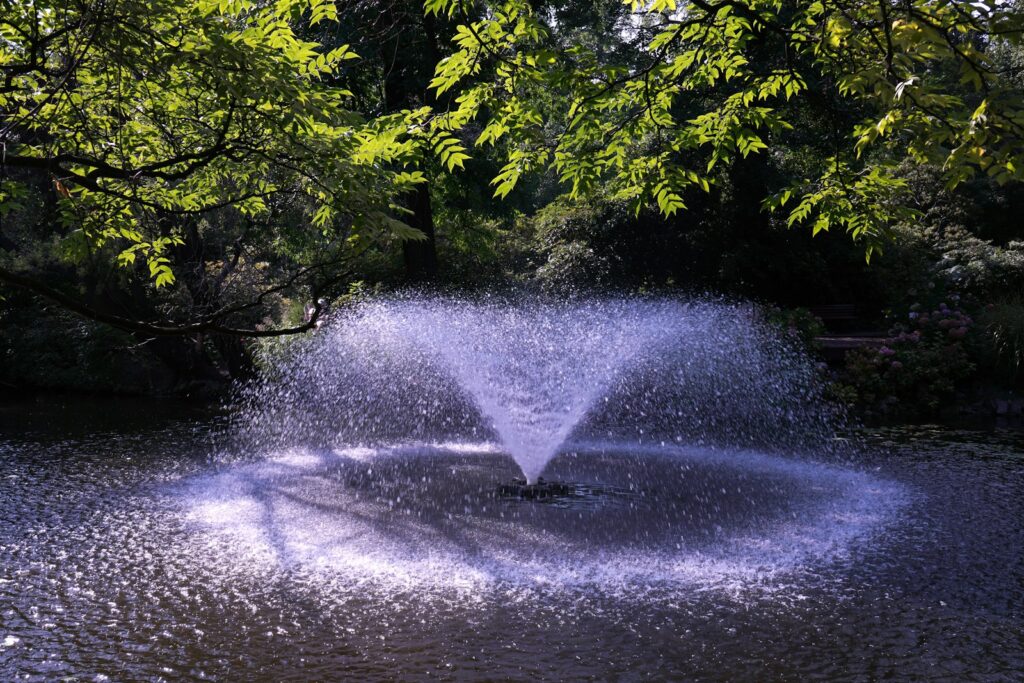 A fire hydrant spewing water into a pond
