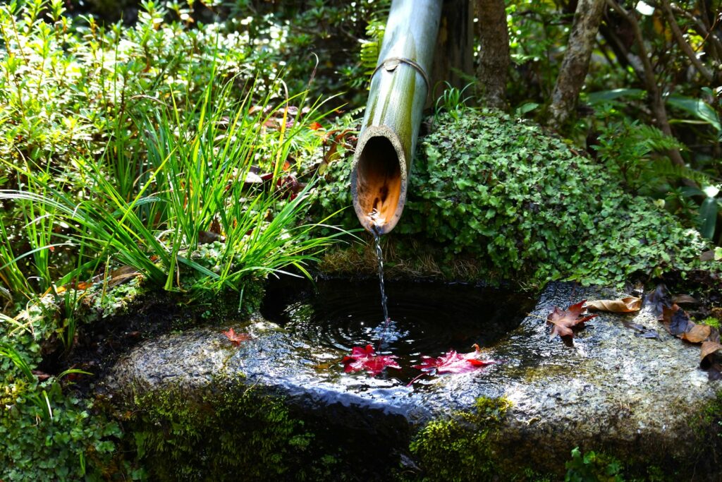 a pipe is pouring water into a small pond