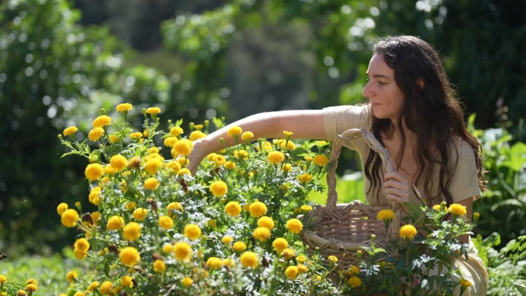 A woman kneeling down in a field of flowers