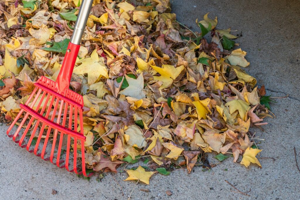 a red rake laying on top of a pile of leaves