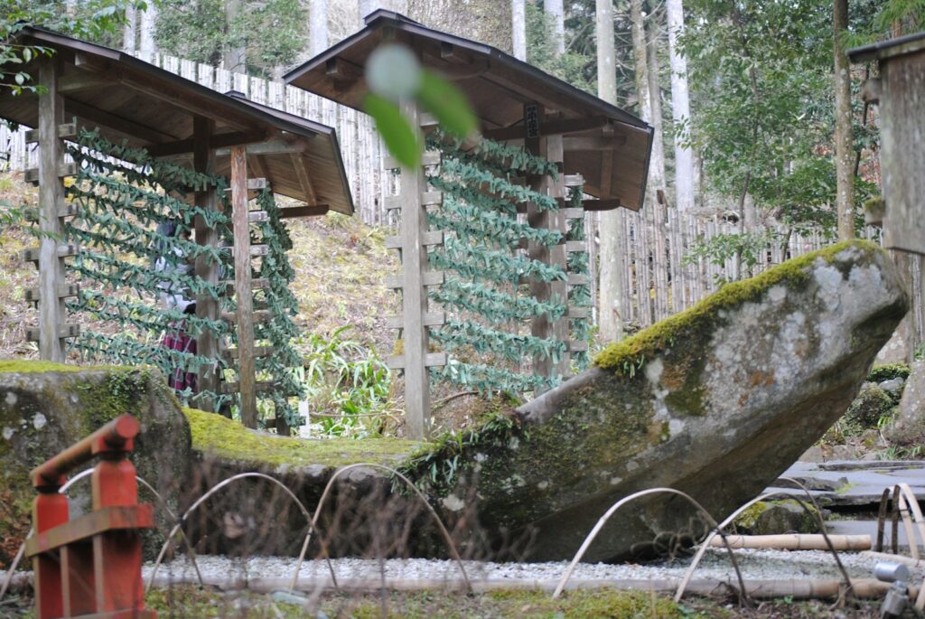 a wooden structure in the middle of a forest